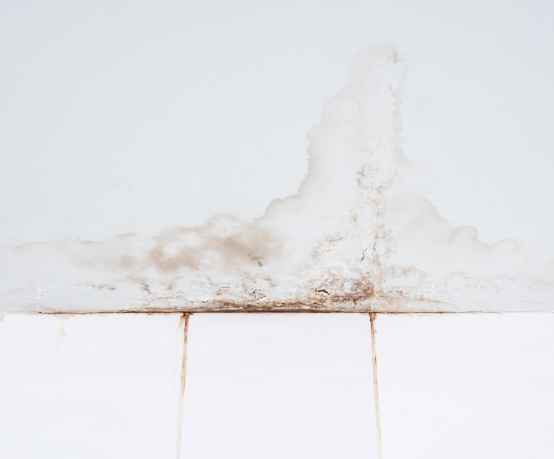 banner-image-1